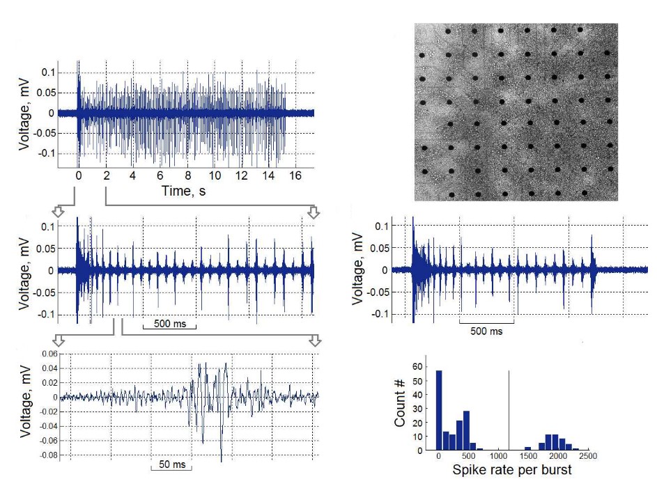 MultiElectrode Array (MEA) Creative Bioarray